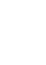 andacollo