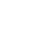 diego-de-almagro